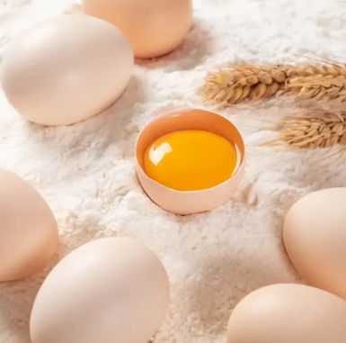 提供肉类禽蛋与冷链保鲜服务